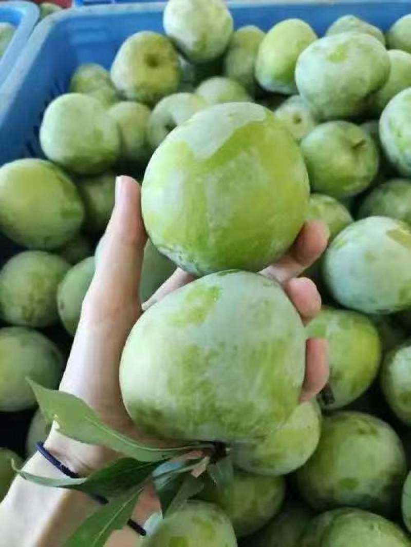 奈李湖南一手货源品种齐全现摘现发诚信经营可视频看货