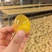 无铅黄金变蛋