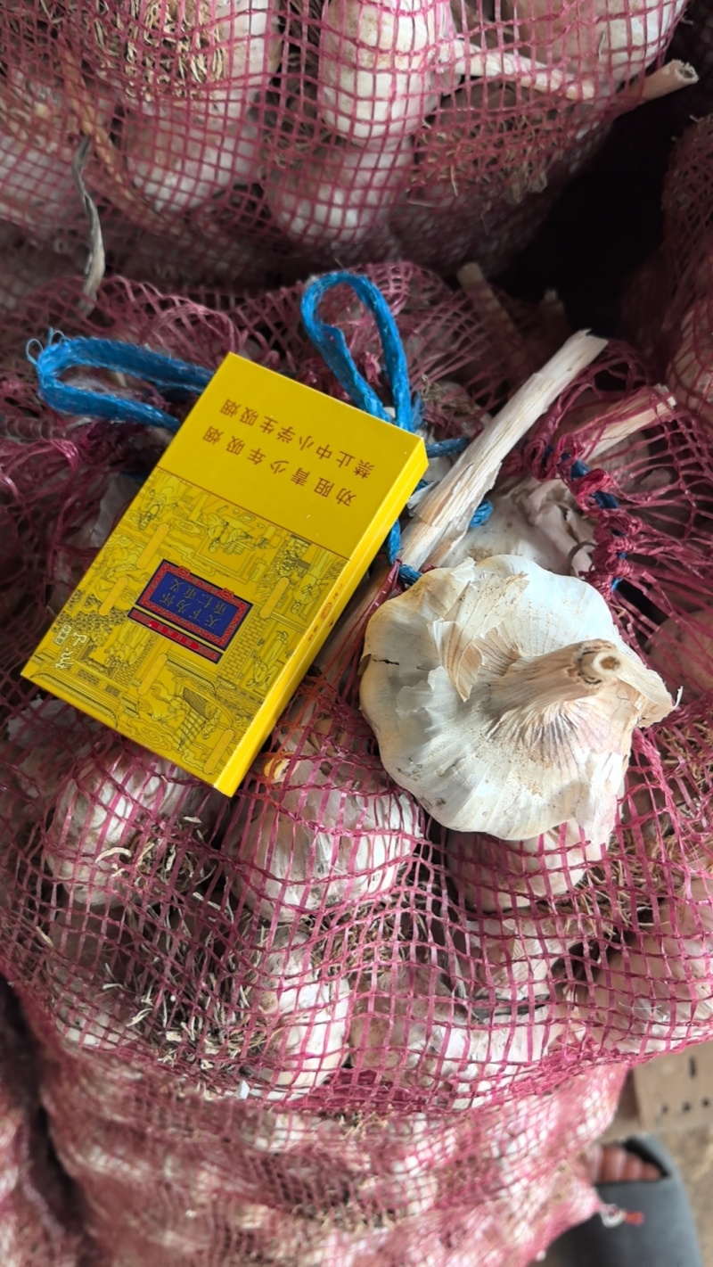 优质大蒜