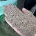 新疆孜然今年新货味道浓郁