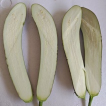 杠三茄子