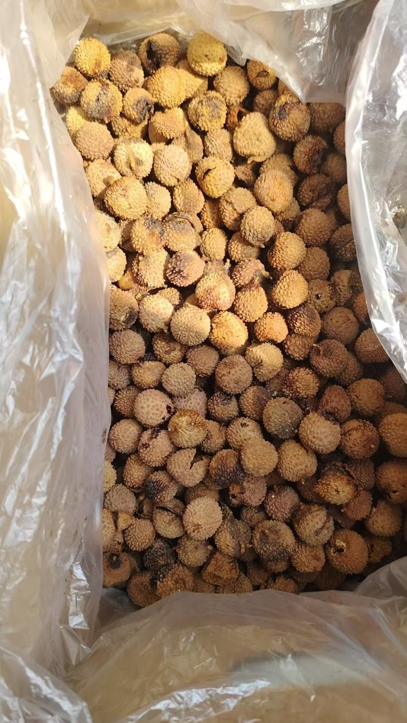 桂味荔枝干厂家直供，核小肉多软糯香甜，品质保证全年发