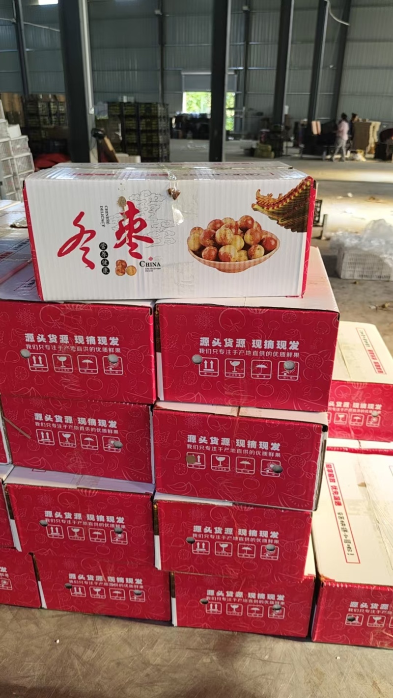 一件代发，陕西大荔冬枣，精品冬枣，鲜枣，对接各大电商平台