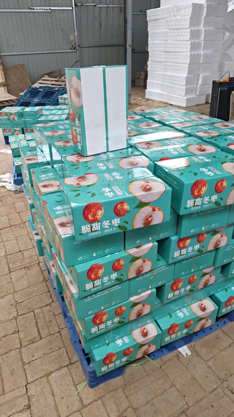一件代发，陕西大荔冬枣，精品冬枣，鲜枣，对接各大电商平台