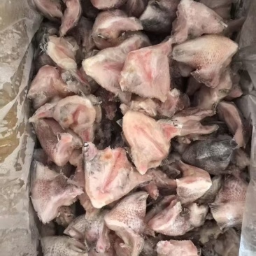 鱼下巴