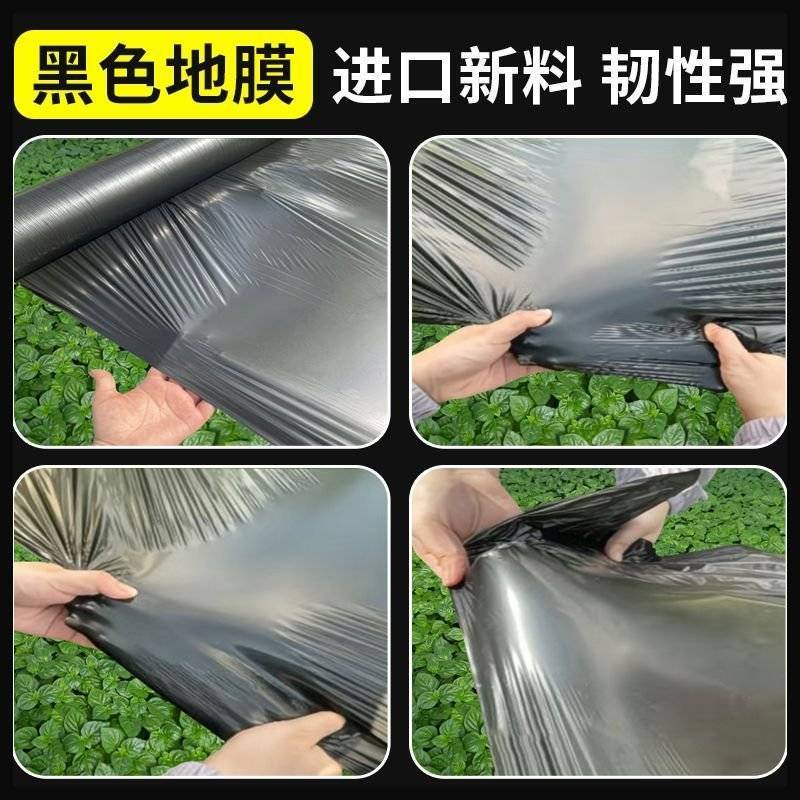 黑色地膜防草地膜大棚种植专用除草地膜果蔬种植保水保肥农用