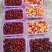 四川省甘孜州康定县庄上村车厘子