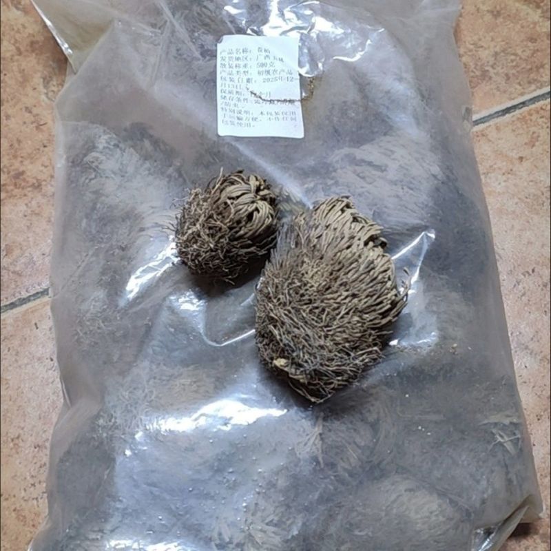 正宗九死还魂草中药材批发还魂草卷柏不死草还阳草不包活不