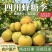 蜂糖李，直接给我发微信号截图，正式开售，核小肉厚，口感好