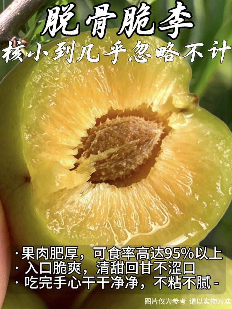 蜂糖李，直接给我发微信号截图，正式开售，核小肉厚，口感好