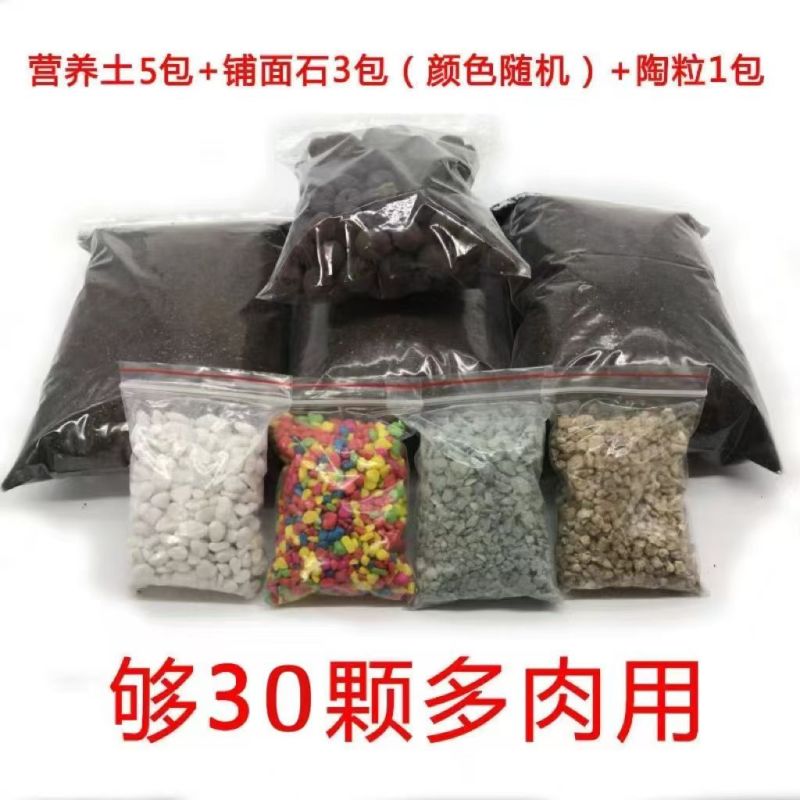 多肉植物品种大全组合盆栽小绿植花卉室内新手红宝石超萌植物