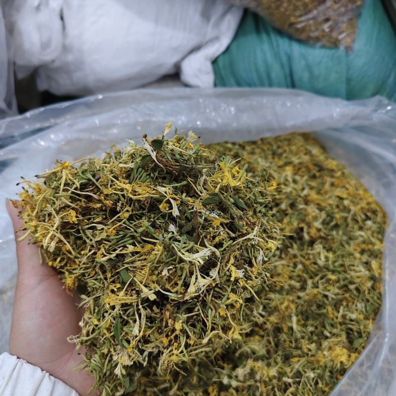 贵州安龙，金银花无硫无霉，质量保证产地直销大量供应