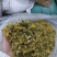 贵州安龙,金银花无硫无霉,质量保证产地直销大量供应