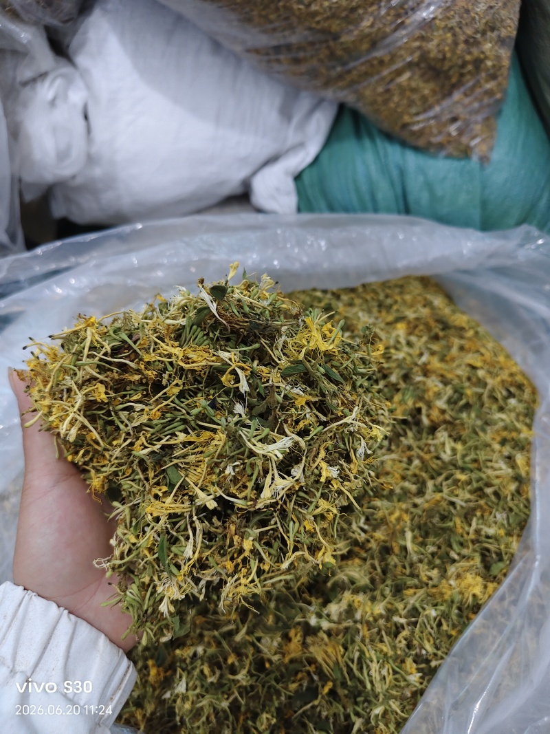 贵州安龙，金银花无硫无霉，质量保证产地直销大量供应