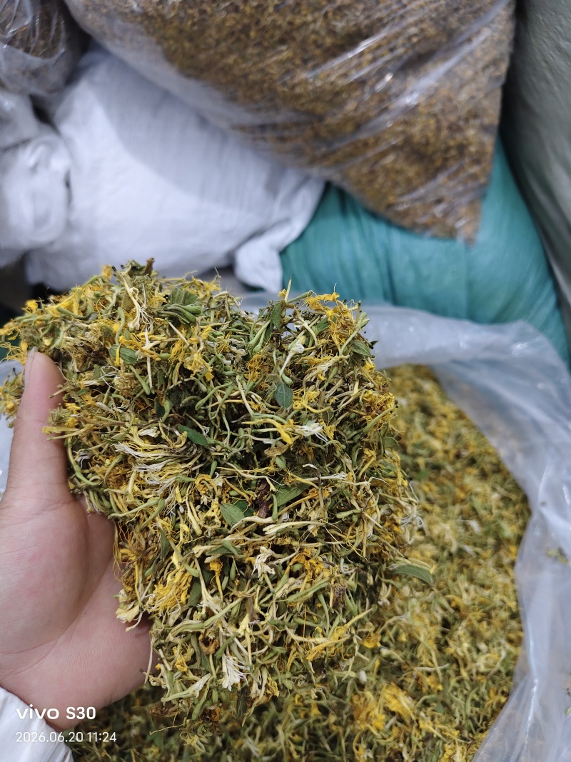 贵州安龙，金银花无硫无霉，质量保证产地直销大量供应