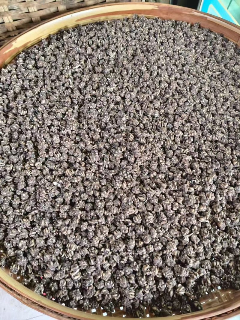 野生猫爪草产地直销量大从优浓浓的香味