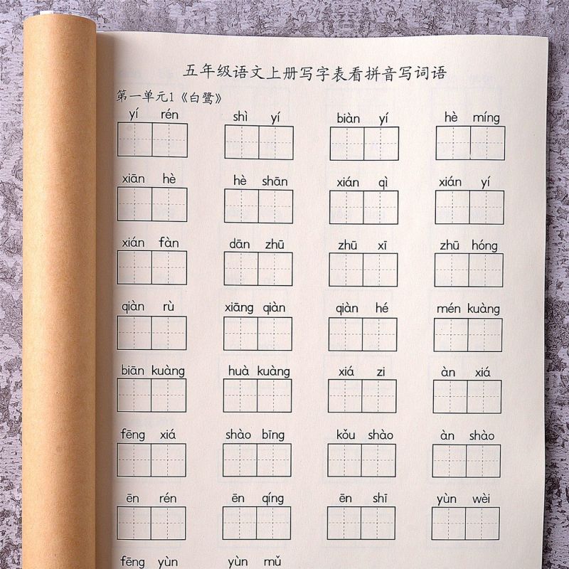 语文五年级上下册写字表看拼音写词语汉语拼音识字表注音练习