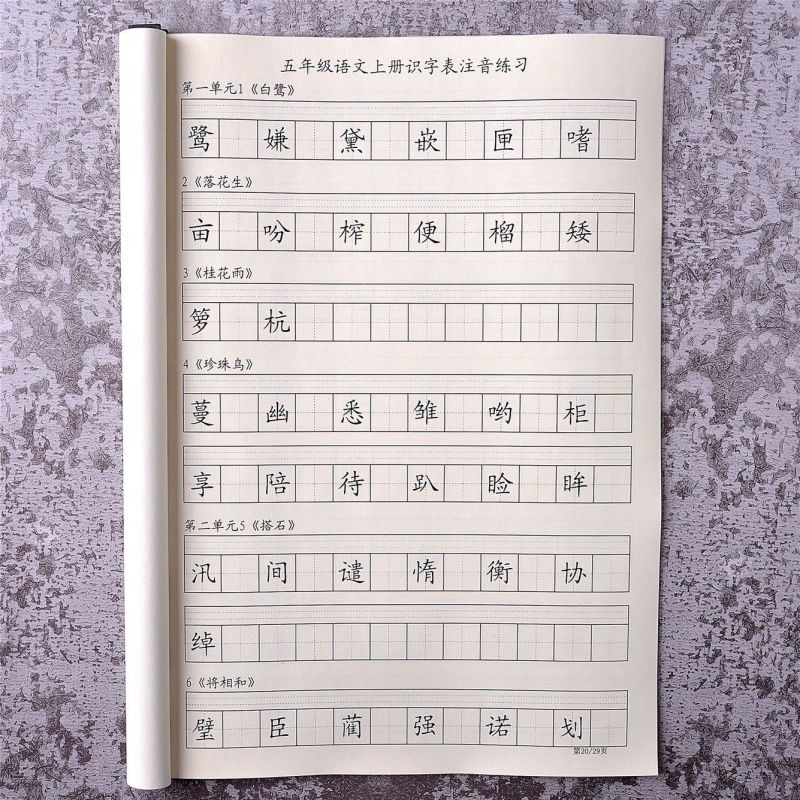 语文五年级上下册写字表看拼音写词语汉语拼音识字表注音练习