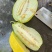 甜瓜，香瓜。绿宝，花蜜，丑八怪