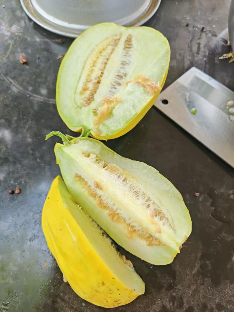 甜瓜，香瓜。绿宝，花蜜，丑八怪