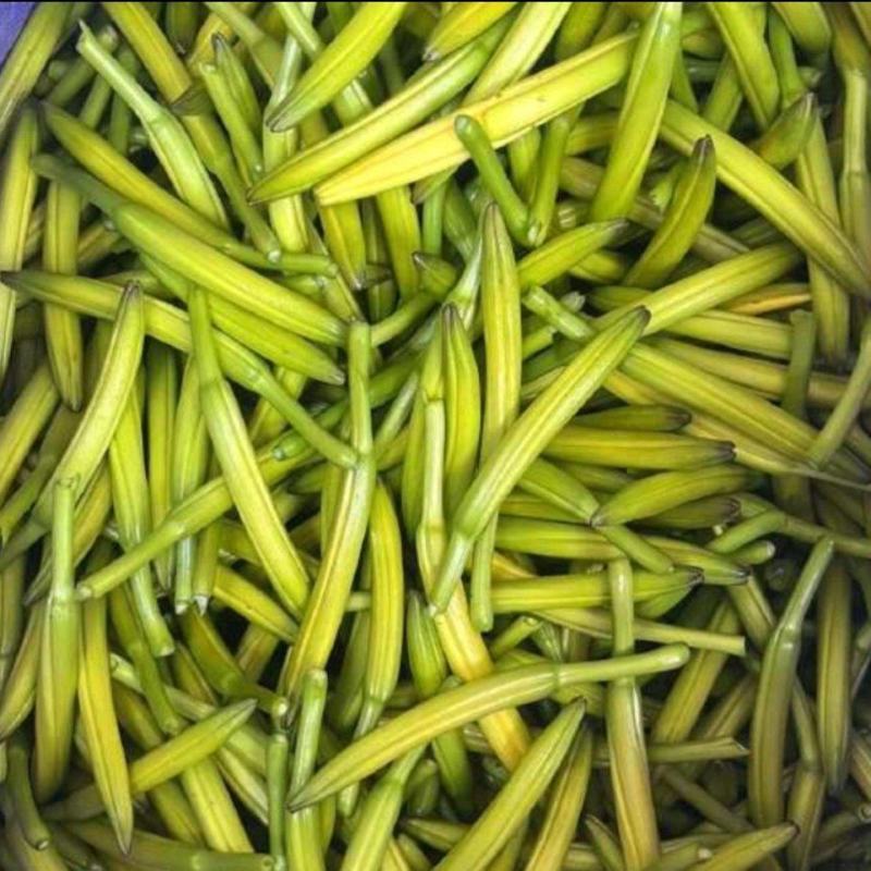 陕西大荔新鲜黄花菜，干黄花菜