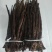 干笋