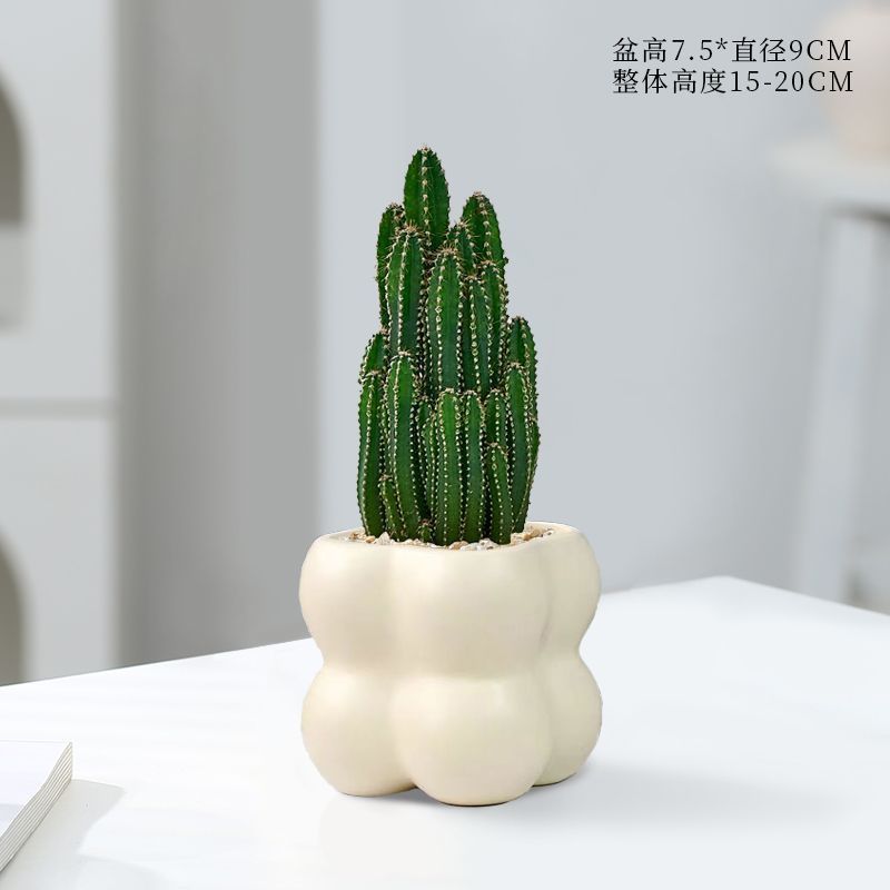 万重山绿植花卉电脑植物防辐射桌面多肉仙人球盆栽掌阳台聚财