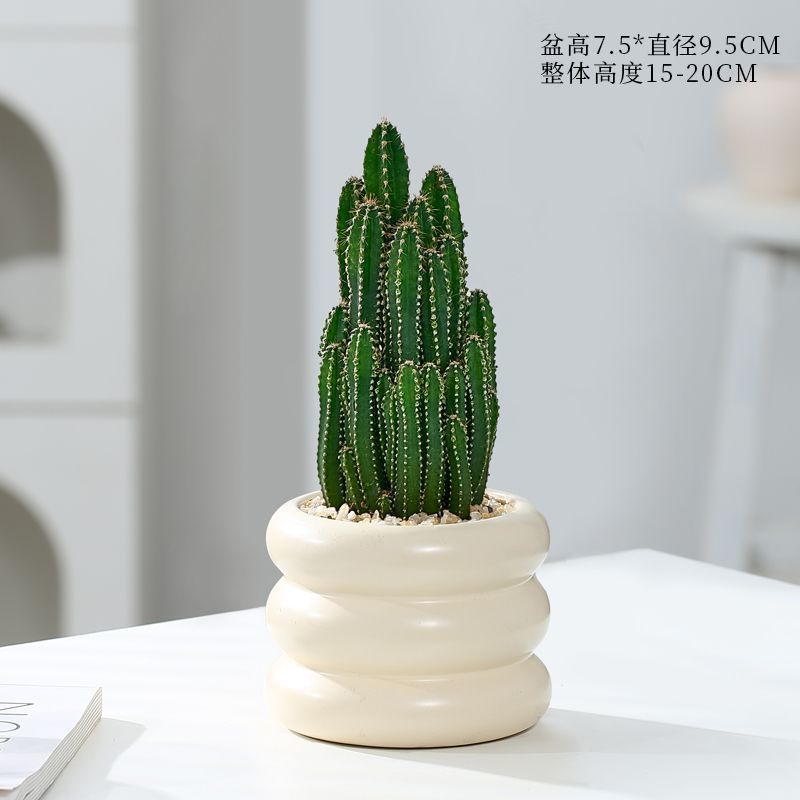 万重山绿植花卉电脑植物防辐射桌面多肉仙人球盆栽掌阳台聚财