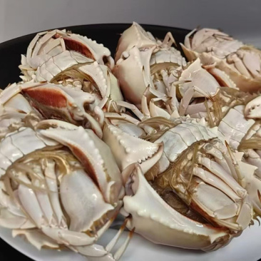 深海面包蟹🦀大量供应