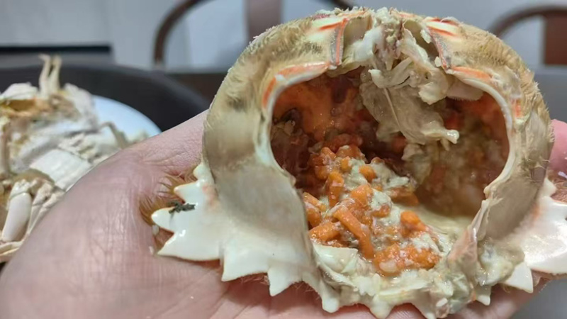 深海面包蟹🦀大量供应