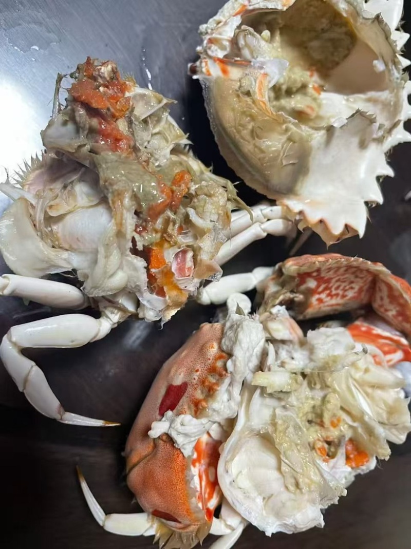 深海面包蟹🦀大量供应
