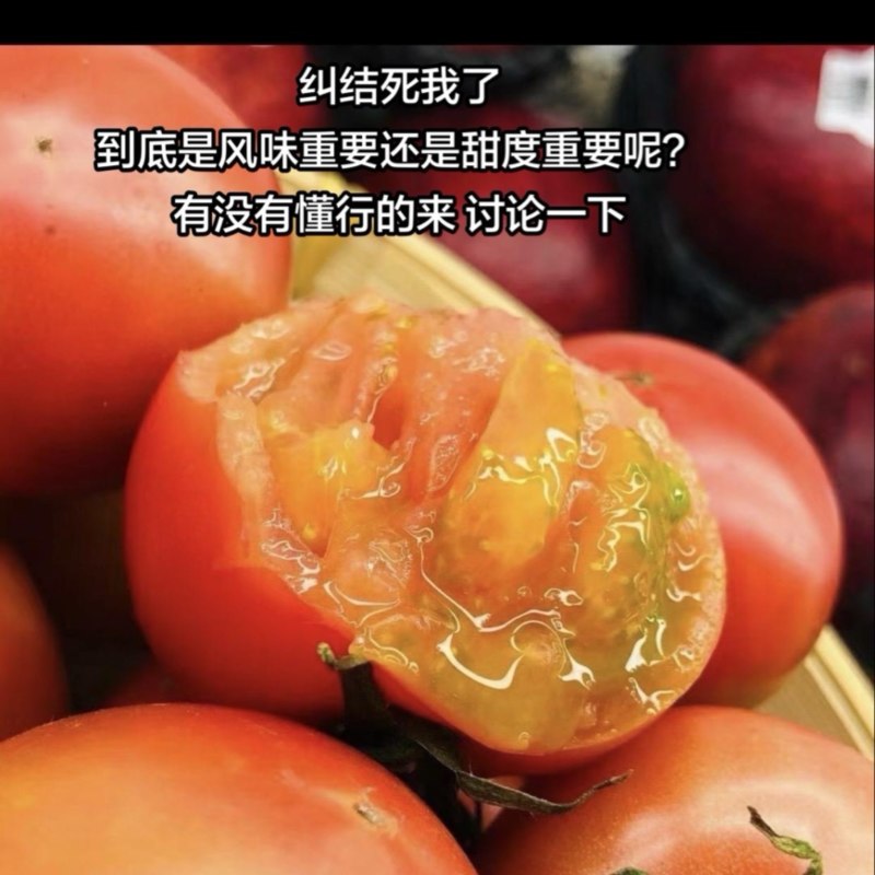 草莓番茄高货