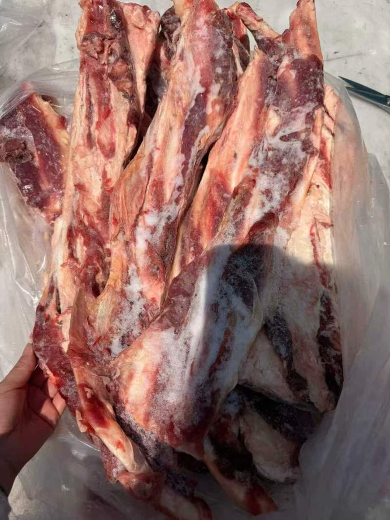羊燕翅骨
