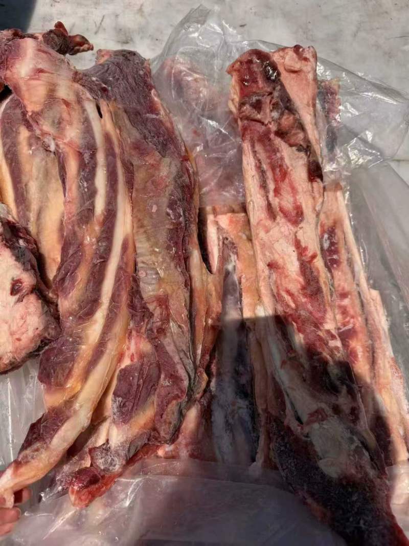 羊燕翅骨