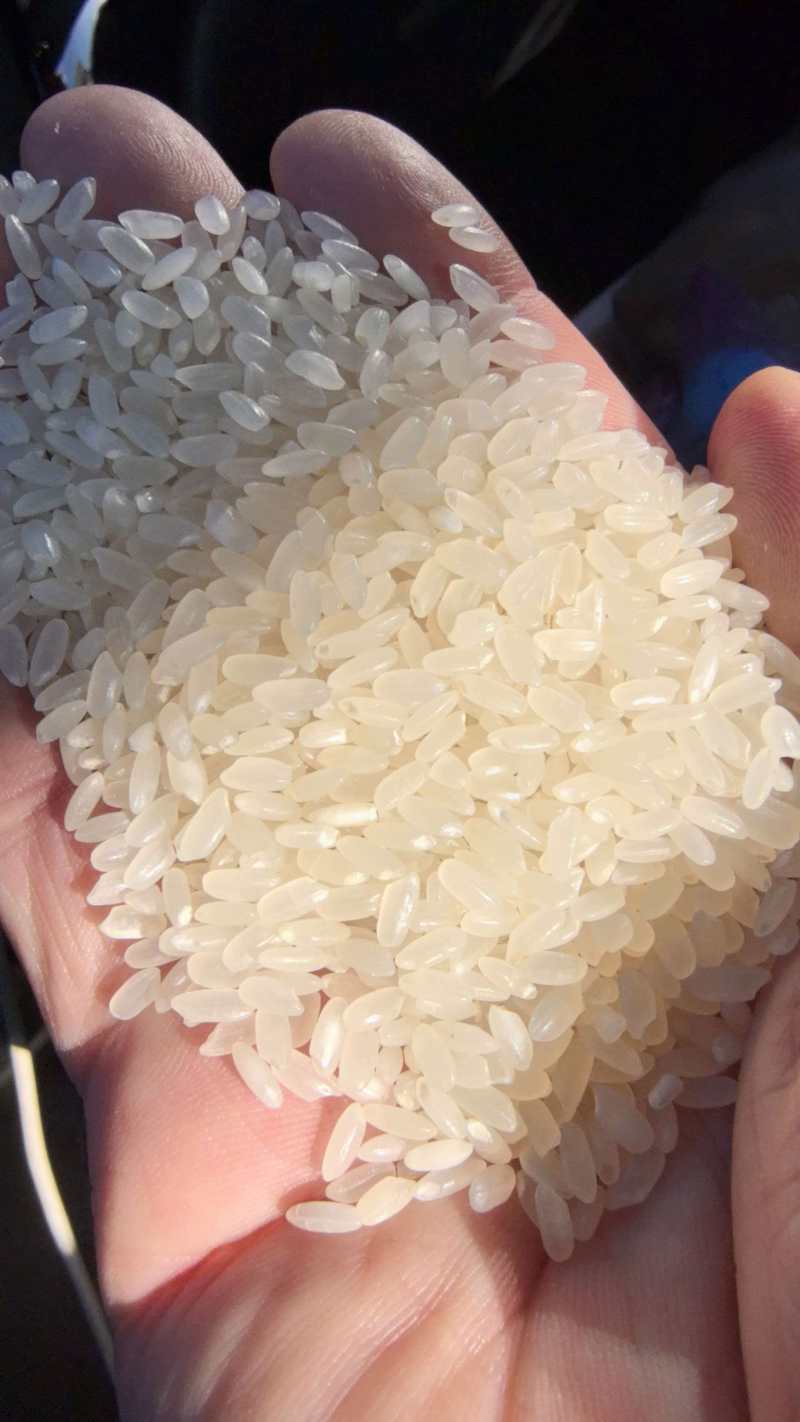长粒大米