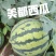 美都西瓜🍉