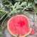美都西瓜🍉