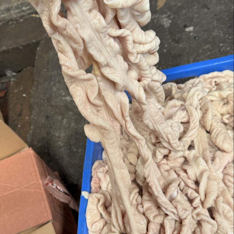 新鲜预煮猪大肠，去油90，六七层熟