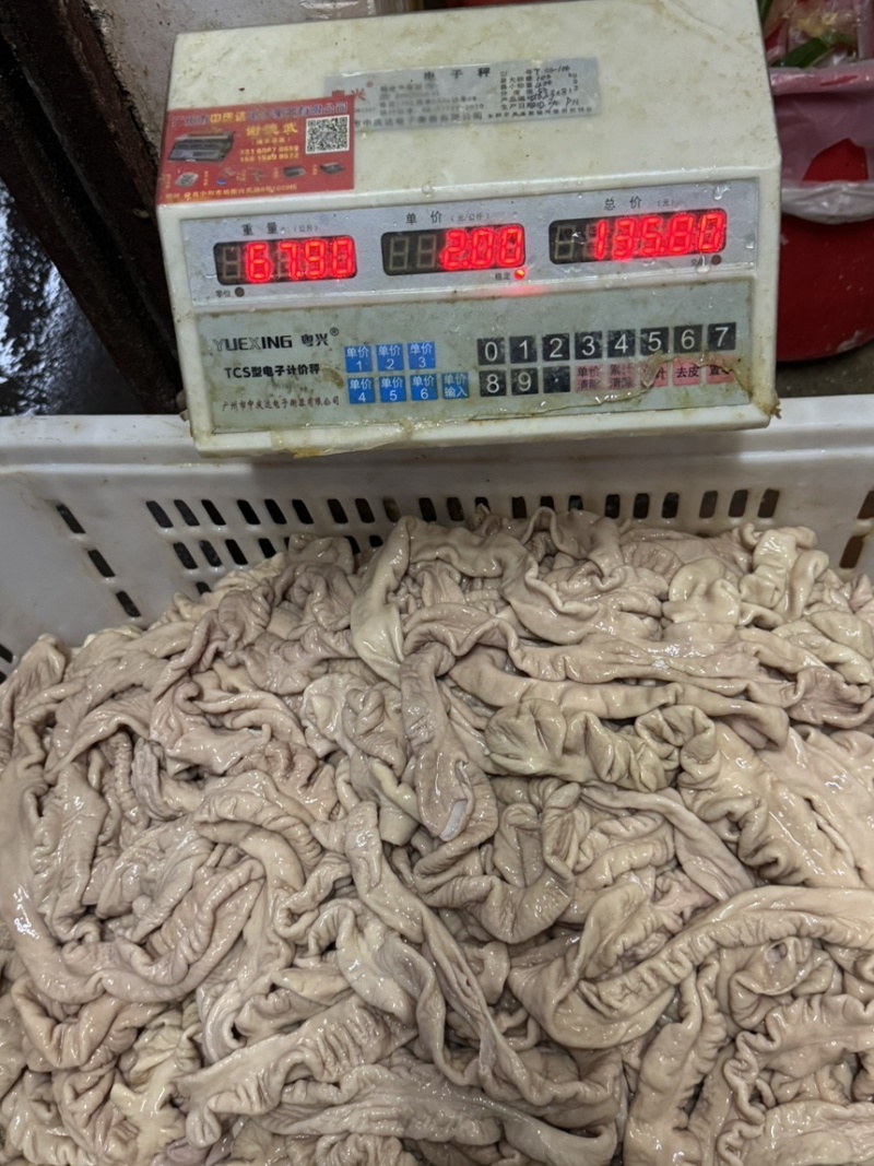 新鲜预煮猪大肠，去油90，六七层熟