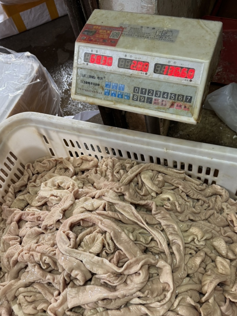 新鲜预煮猪大肠，去油90，六七层熟