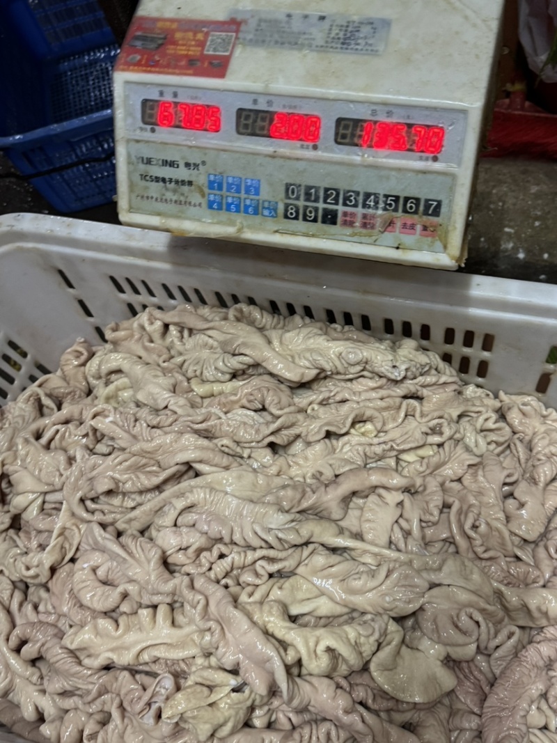 新鲜预煮猪大肠，去油90，六七层熟