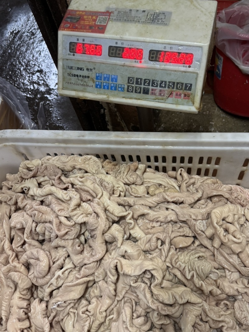 新鲜预煮猪大肠，去油90，六七层熟