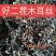 电商木耳丝优质木耳丝精品去根木耳丝