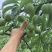 云南绥江半边红李子