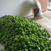 灯笼椒