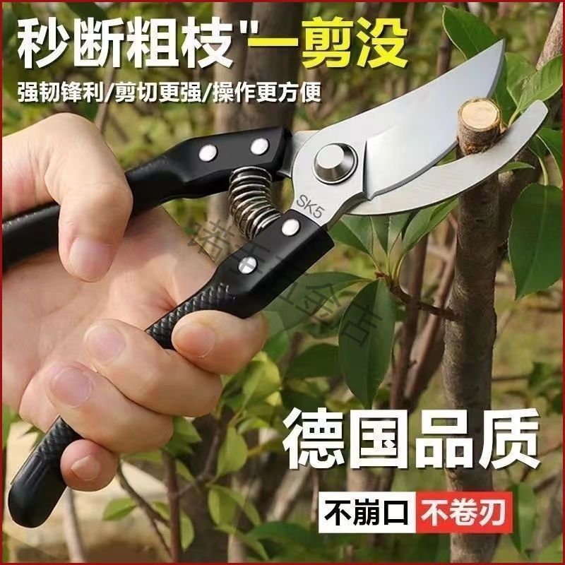 进口钢粗枝剪省力修枝剪刀园艺修花木果树嫁接园林剪农用