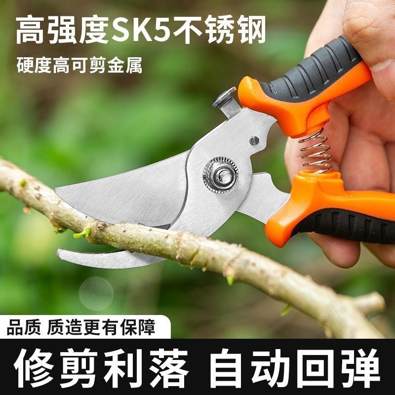 进口钢粗枝剪省力修枝剪刀园艺修花木果树嫁接园林剪农用