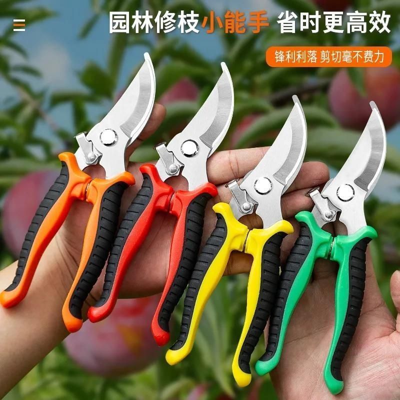 进口钢粗枝剪省力修枝剪刀园艺修花木果树嫁接园林剪农用