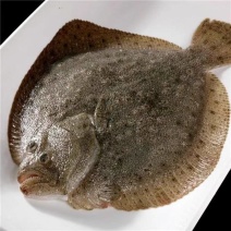三去多宝鱼600-700g每条