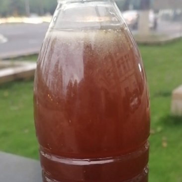 土蜂蜜